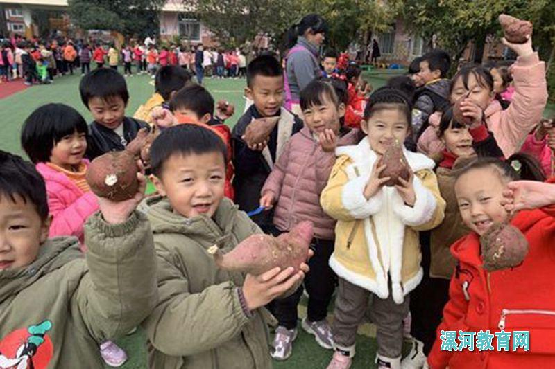 漯河育才幼儿园组织孩子们欢度红薯丰收节.jpg
